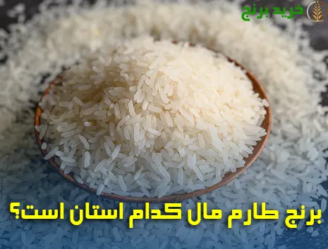 برنج طارم مال کدام استان است؟