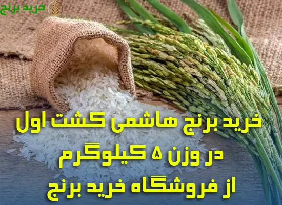 برنج هاشمی اعلاء 5 کیلوگرمی کشت اول