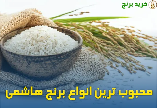 معرفی انواع برنج هاشمی شمال